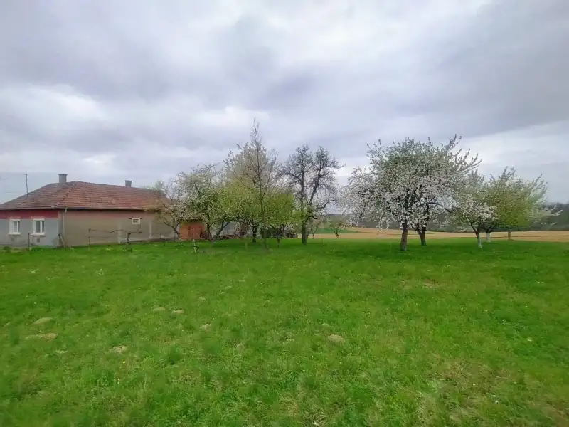 Eladó Családi ház – Kozmadombja