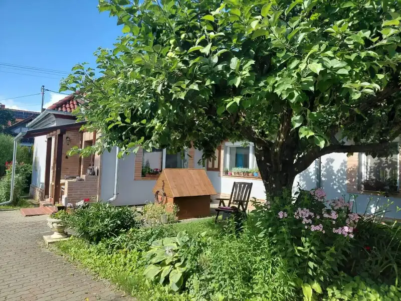 Eladó Családi ház – Daraboshegy