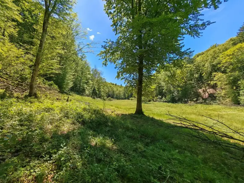 Eladó Mezőgazdasági terület – Felsőszölnök, Külterület