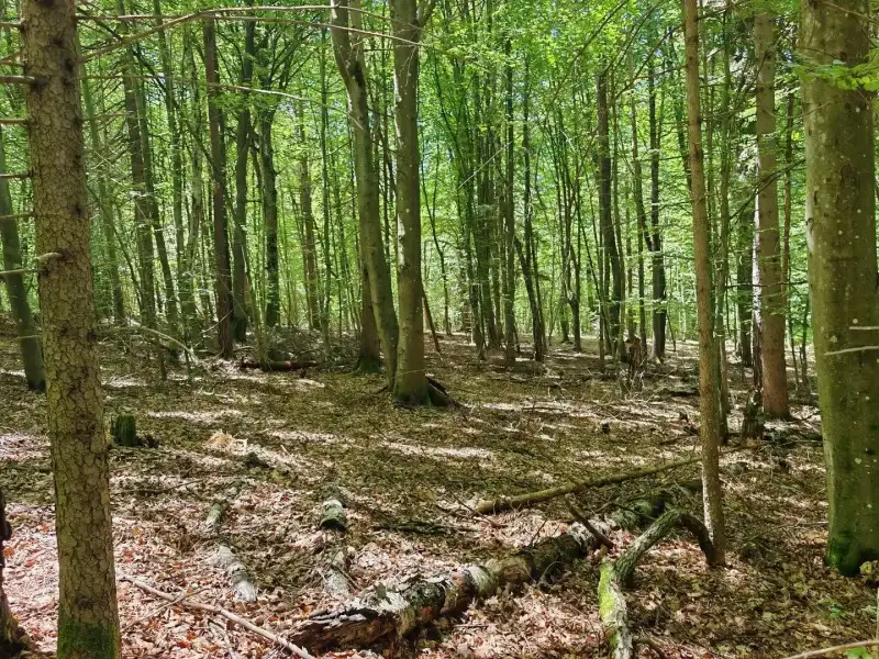 Eladó Mezőgazdasági terület – Felsőszölnök, Külterület