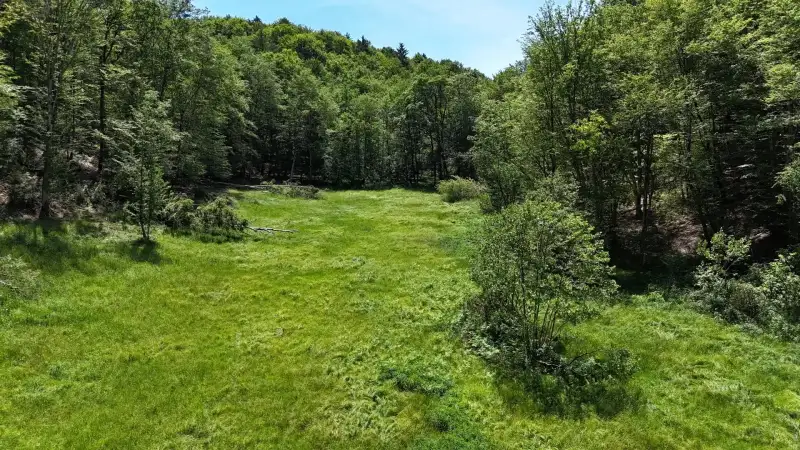 Eladó Mezőgazdasági terület – Felsőszölnök, Külterület